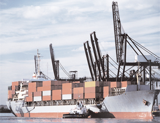 超大容量單體聚合物鋰電池